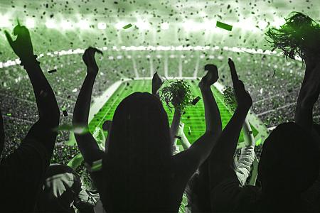 La perception des fans sur le football professionnel